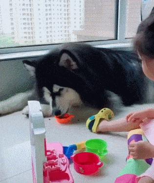 宠物医生x光片危害,医生用的x光