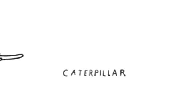 在西安给宠物看病凭什么这么贵