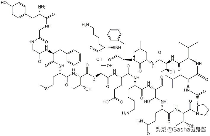 破解喝酒之谜,如何尽快解决啤酒肚