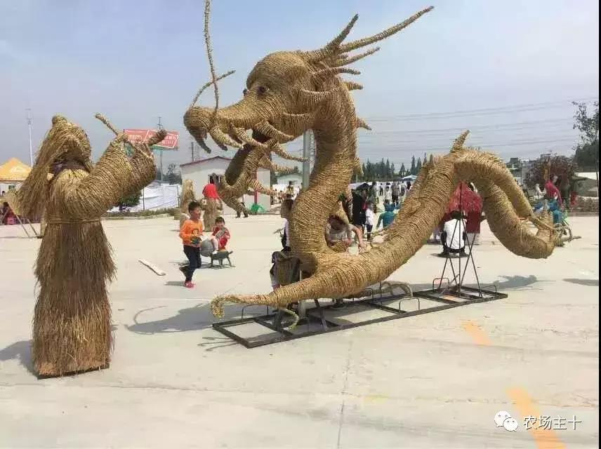 从零开始打造一个优质亲子农庄,从亏损近2亿到盈利35亿的逆袭