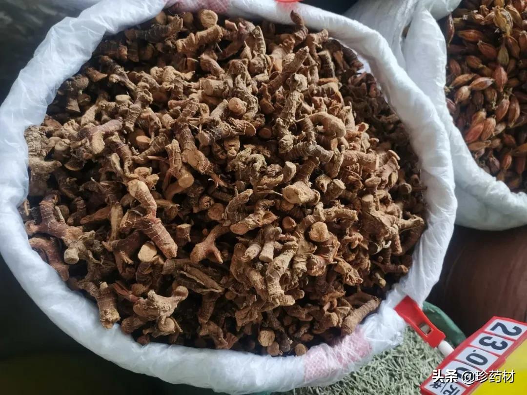 药材产地行情日报,2020年7月药材市场药材价格快讯