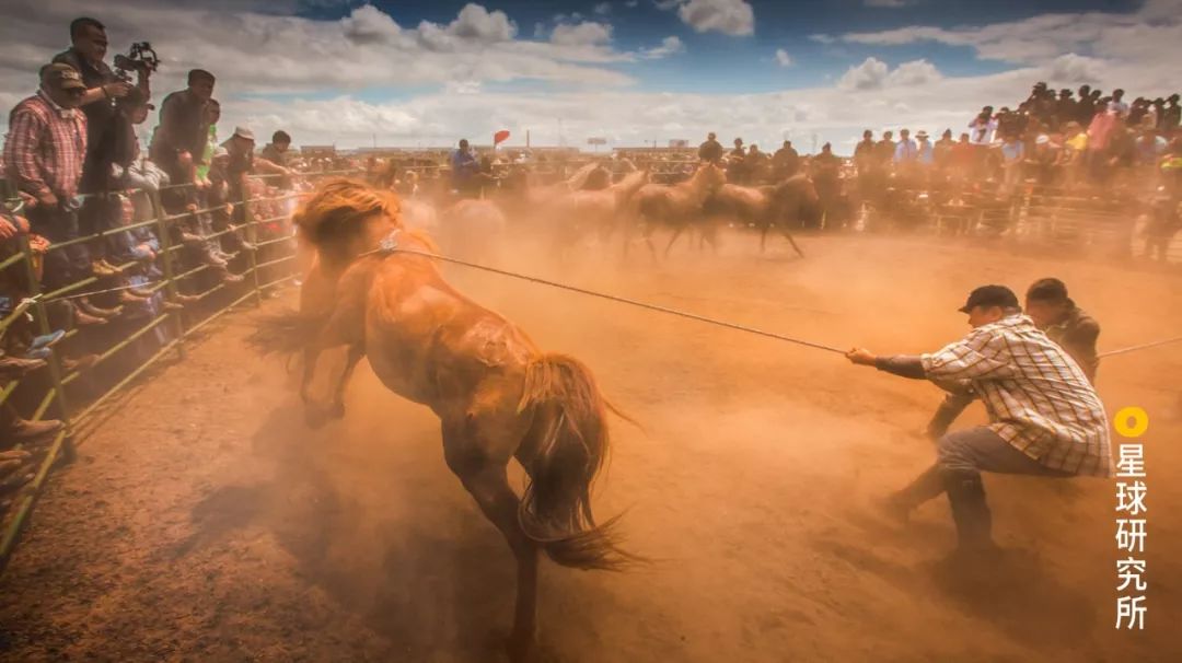 每一张图都有一个故事你想听哪个,每一张图都是清晰的记忆