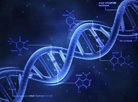 免疫治疗晚期癌症是怎么治疗的,细胞免疫癌症治疗方案