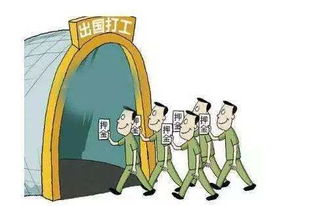 澳大利亚打工的利润,澳大利亚打工真能挣到钱吗