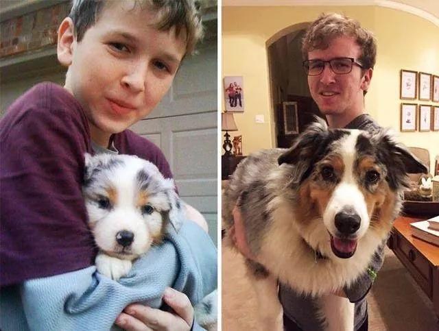 狗子偷偷亲我的第N次,难道不是真爱吗?