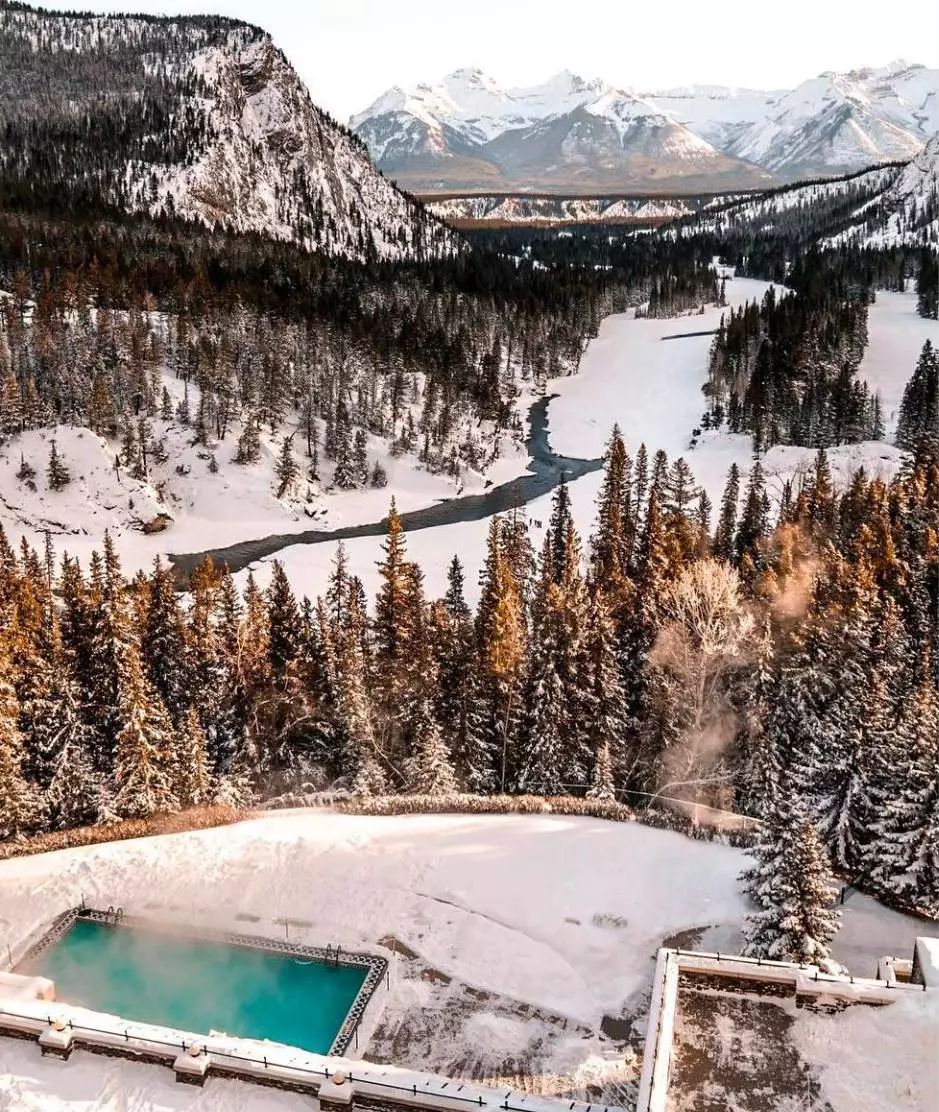 BC省的冬天，粘人精