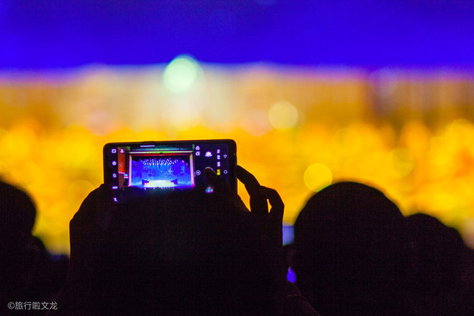 西双版纳曼听公园游玩攻略,西双版纳下午去曼听公园来得及吗