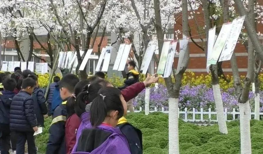 南京十大最好中学,南京五大顶级中学