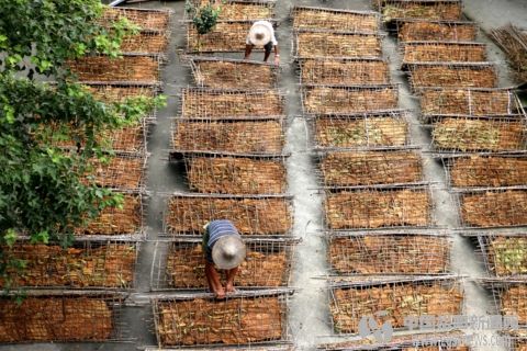 你不了解的敌敌畏,你不了解的煤层气