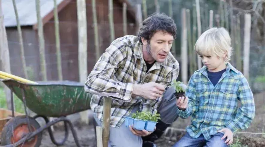 生态农家乐和休闲农庄民宿打造,新型民宿结合农庄玩法