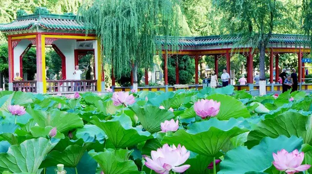 购进商品用于促销赠送的账务处理,销售折扣的账务处理最新