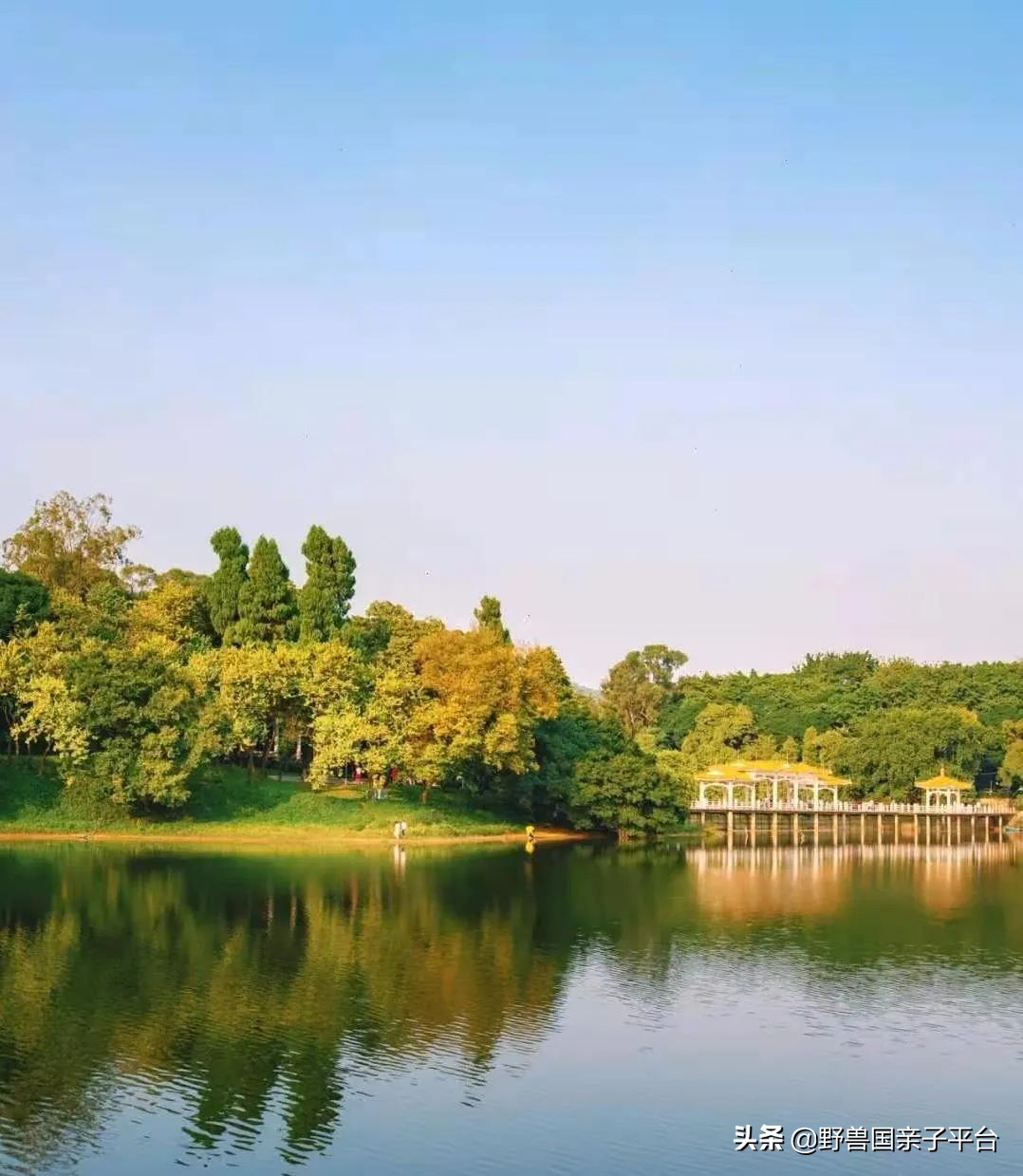 广州遛娃旅游推荐路线攻略,广州遛娃清单升级版