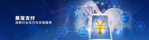 易宝支付是什么平台,易宝支付个人登录平台