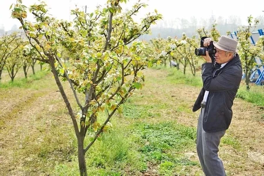 娆洪湝璧涢洩,娆洪洩璧涢湝