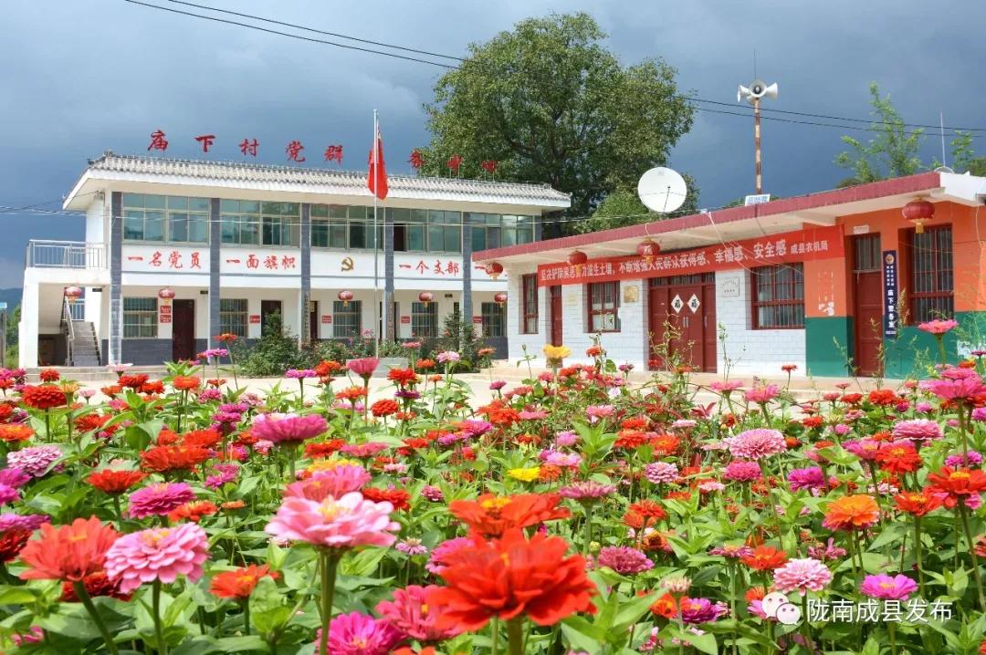 我叫成县，这是我2019年的自拍照~