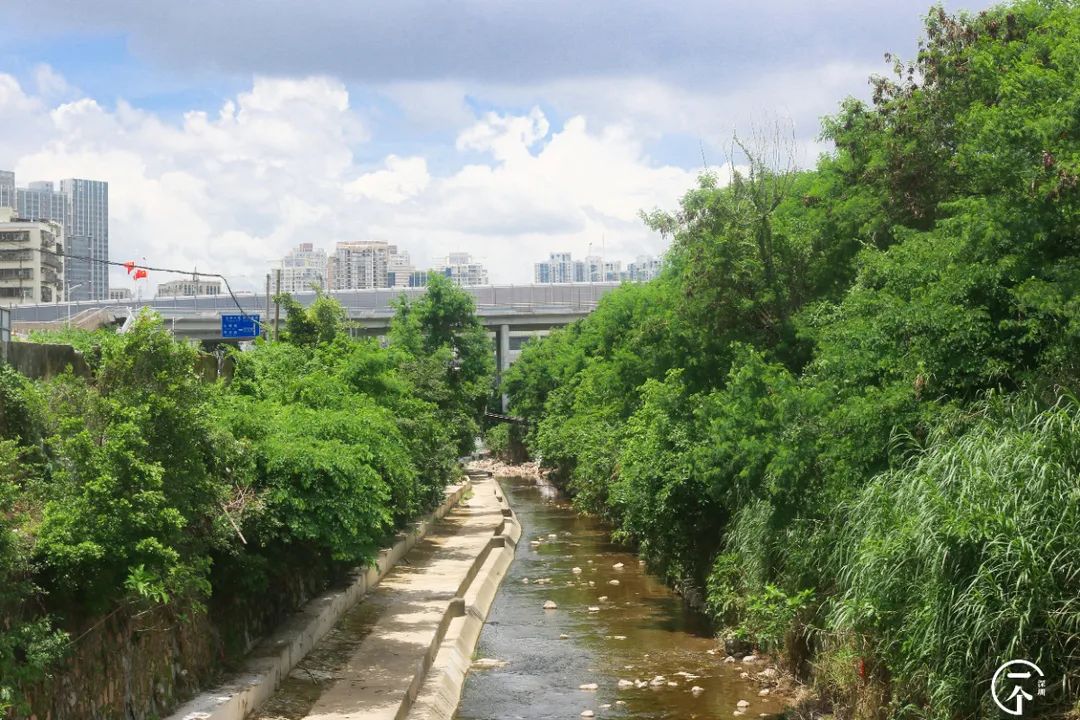 布吉老街粮食大厦房租,布吉下李朗单间房租
