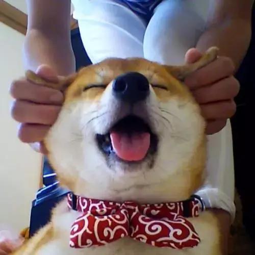 上课困得不行怎么办,上课困成狗