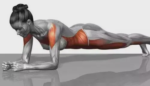 长期做平板支撑身体有什么变化,平板支撑一个月后身体变化