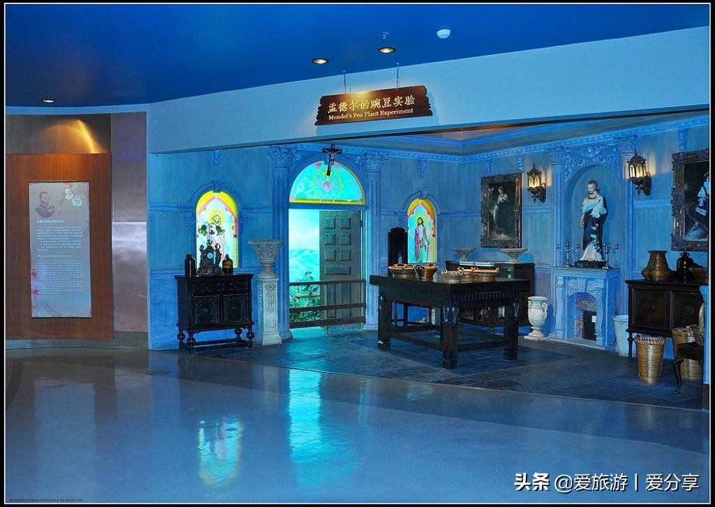 上海科技馆游玩攻略,景点打卡上海科技馆