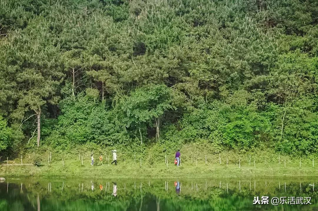 1月武汉,武汉1月份有什么玩的