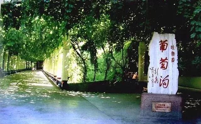 流浪地球旅游排名,徒步旅行流浪地球