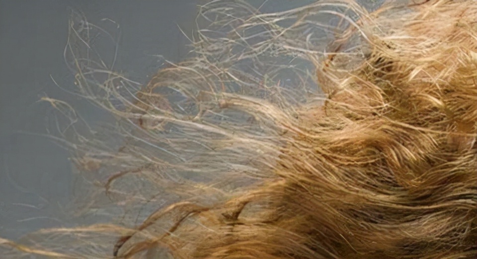 怎样选择洗发水的正确方法,洗发水的种类和选择