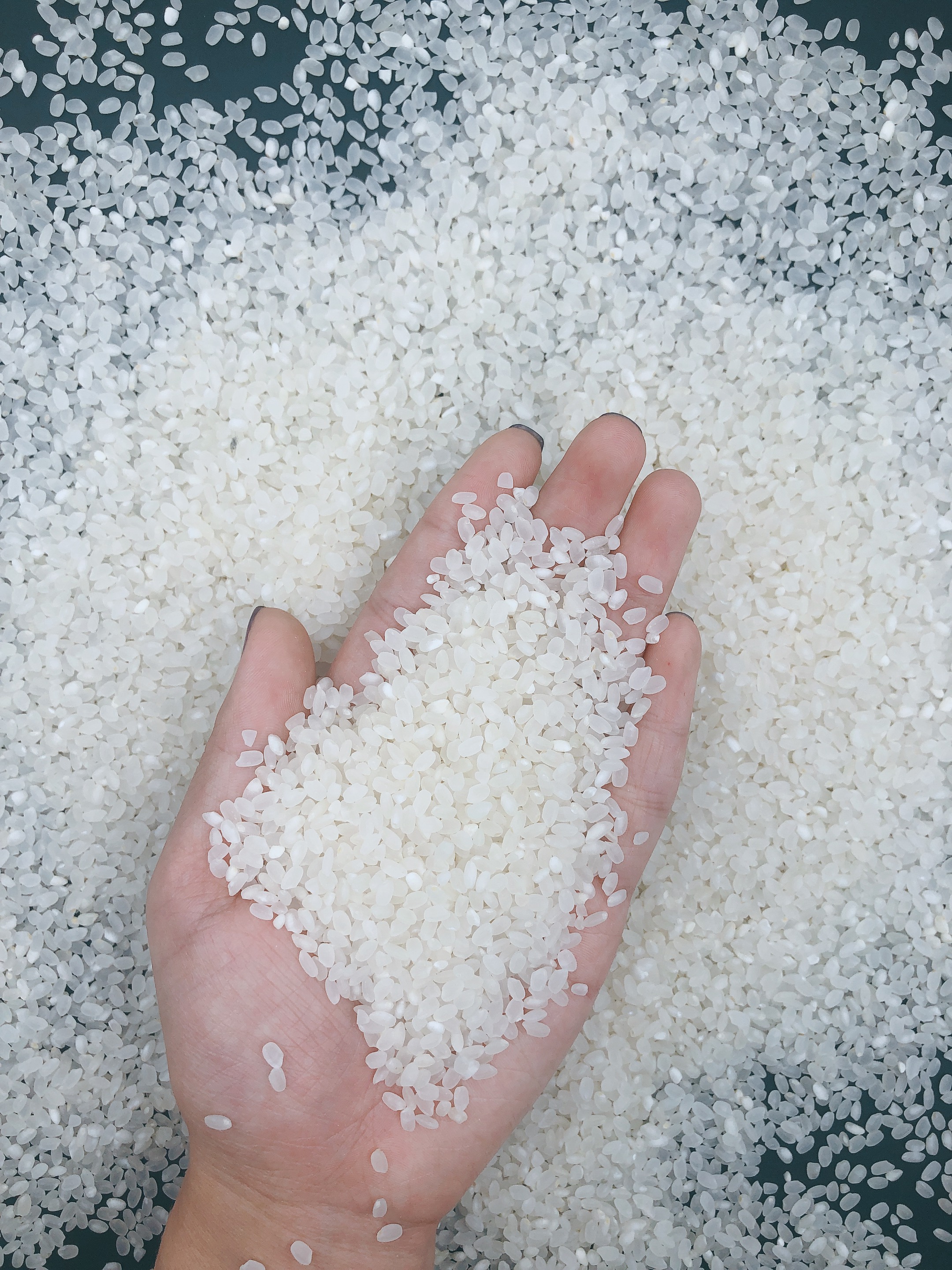 辨认好的大米的方法,区分大米的小窍门