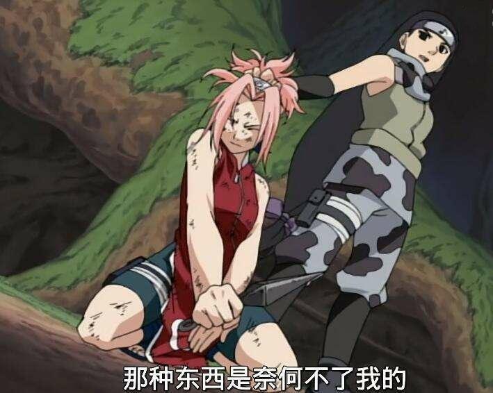 娜美跟小樱区别,娜美和小樱的实力对比