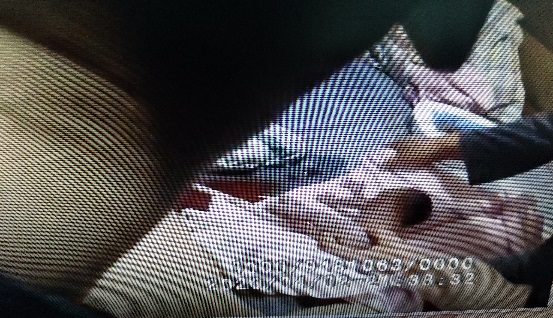 惊险1小时！29周小生命在急救人精准施救中诞生