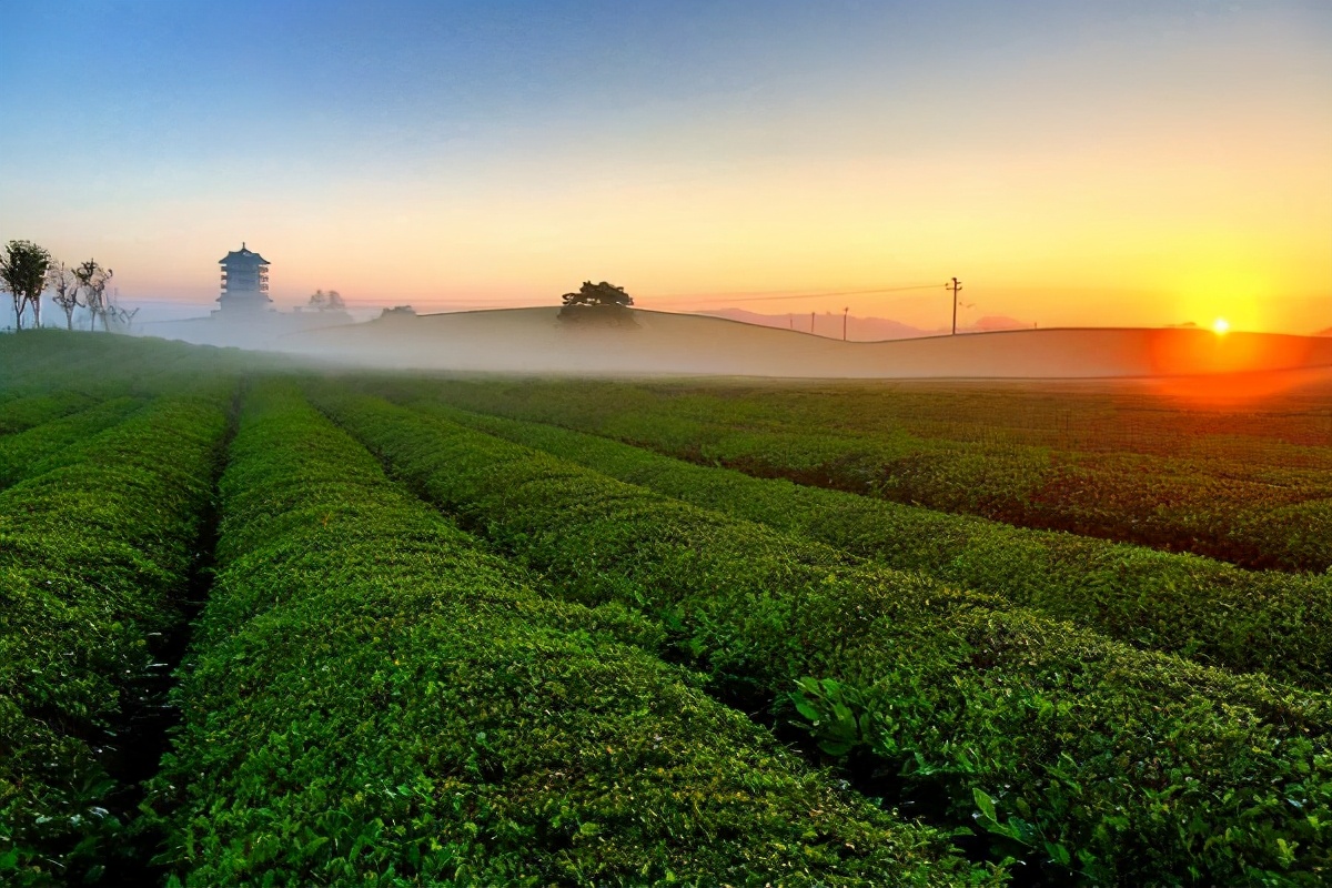 贵州遵义的a级景区有哪些,贵州遵义5a级旅游景点
