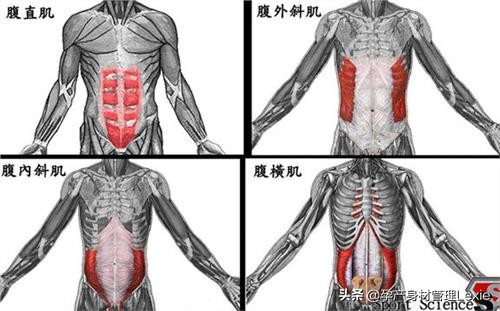 产后妈妈肚子下不去,产后妈妈瘦不下来怎么回事