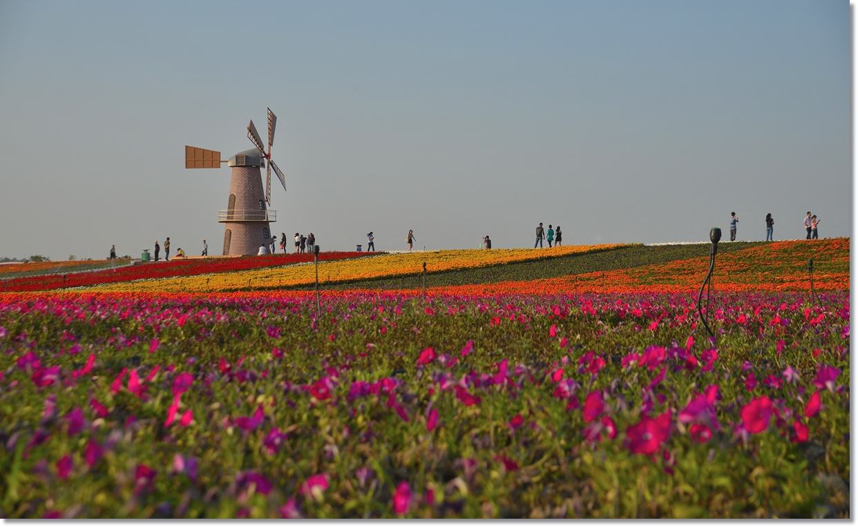 合肥市网红游玩区,合肥网红景点推荐