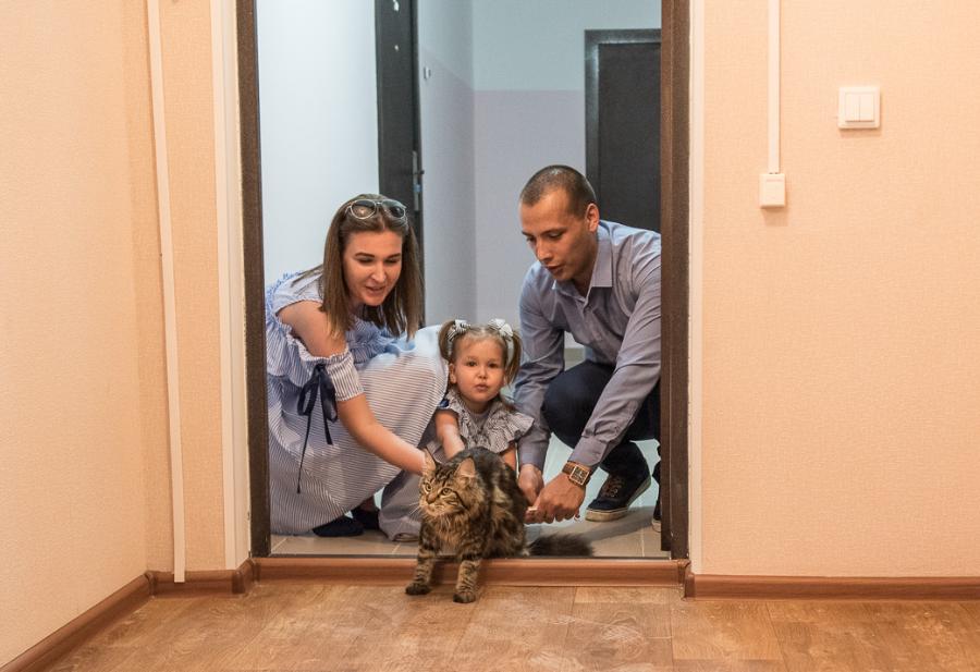 世界名画橘猫,橘猫世界名画