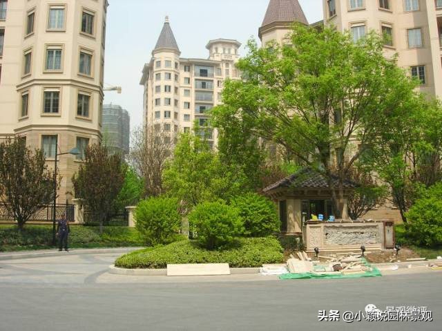 住宅小区植物配置方案,植物种植小技巧一览表图