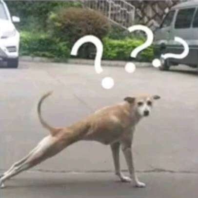 去日本哪个地方买日常用品,去日本超市必买物品