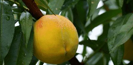 上海可以一路玩下来的地铁线,上海最新41条地铁