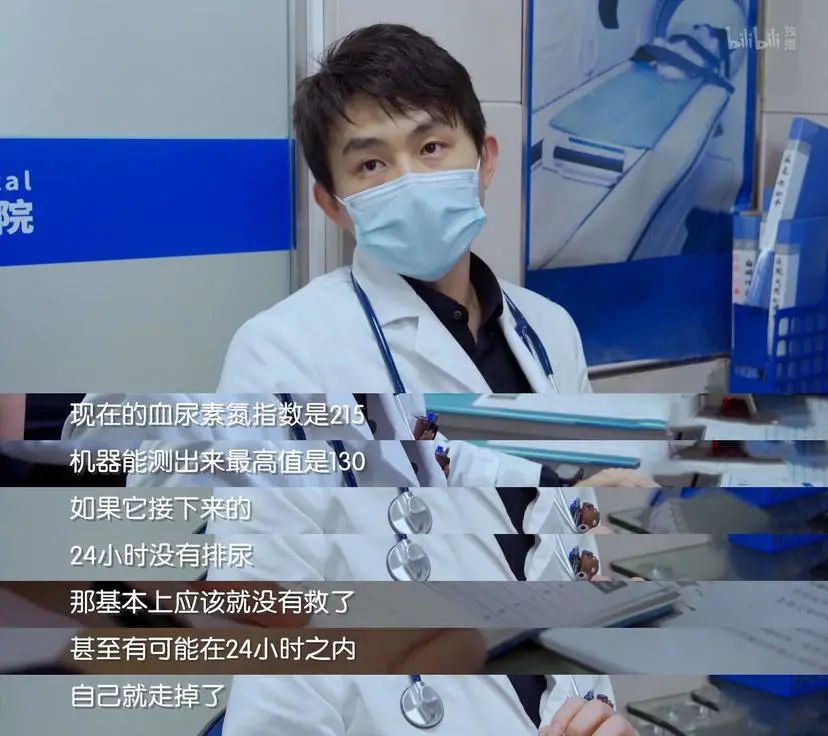 b站高分历史纪录片,2分钟一集的b站纪录片