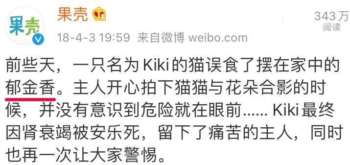 猫咪百合花粉中毒后怎么救,猫咪误食百合的症状