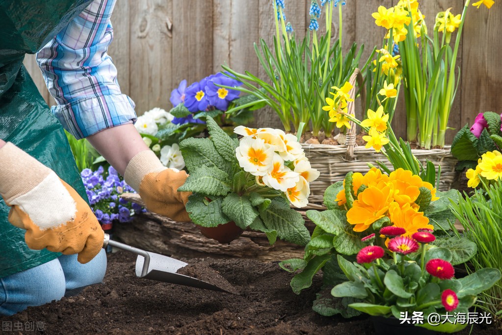 我想有个院子,我想拥有一个小院子