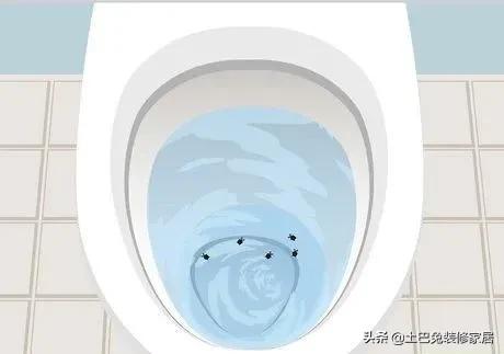 卫生间总是反味臭气熏天,一楼卫生间反味臭气熏天