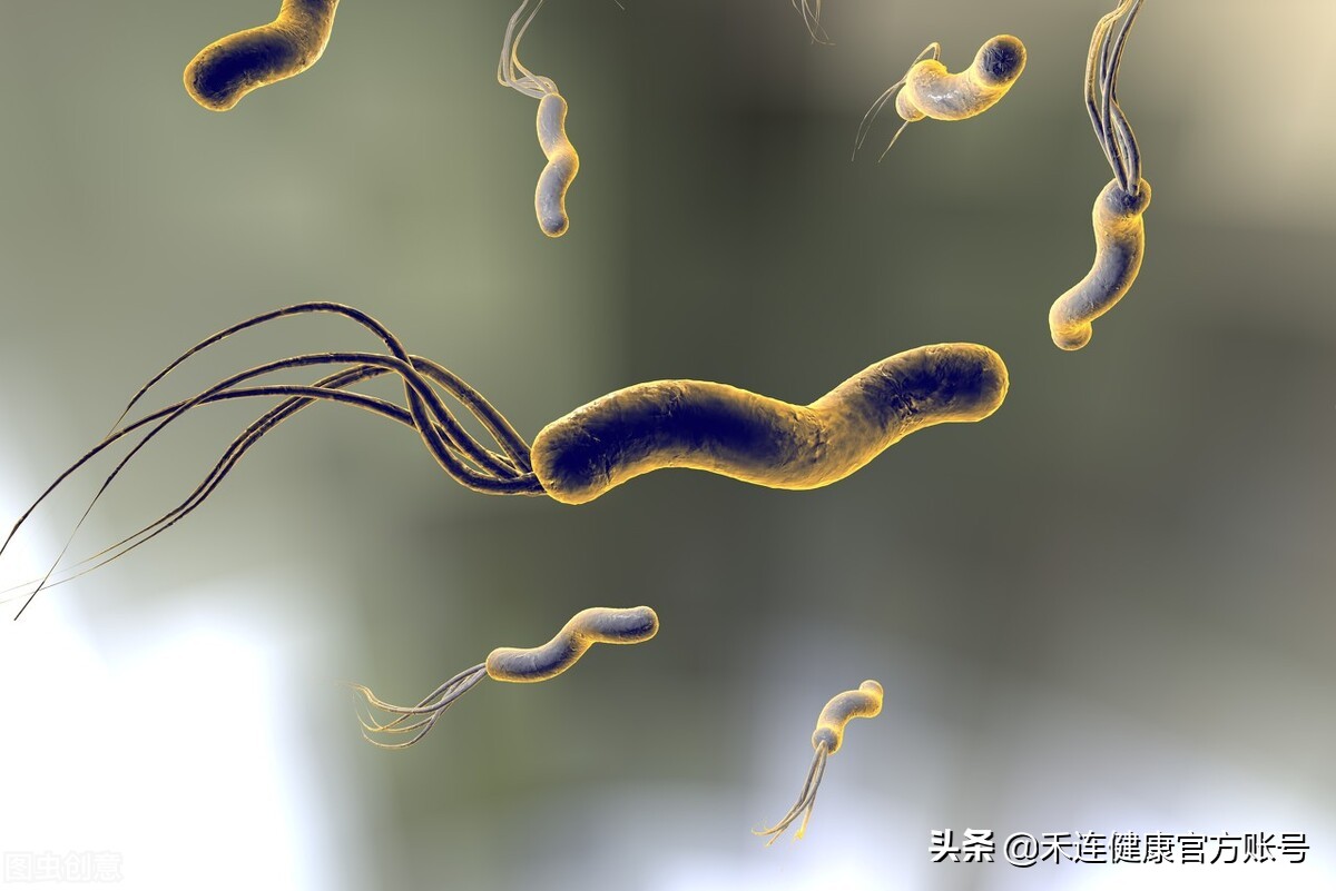 幽门螺旋杆菌阳性不治能好吗,c13幽门螺杆菌检测阳性致癌