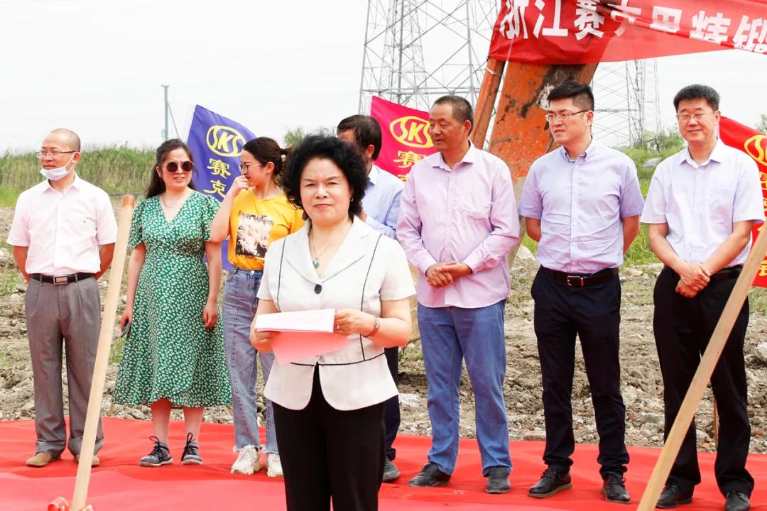 浙江赛克思,赛克思模锻