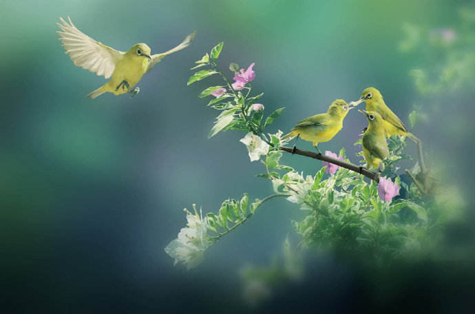 苏东坡趣闻全集,苏东坡趣闻趣事