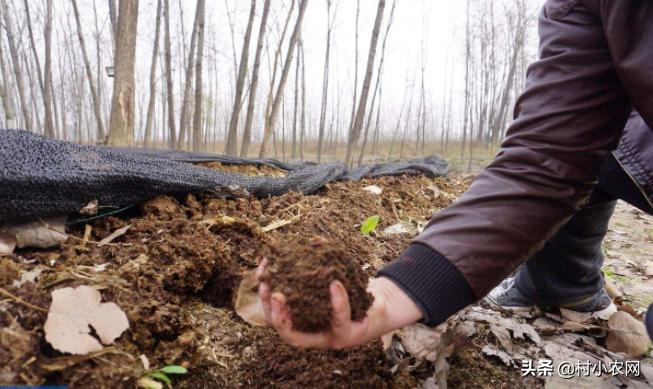 农村适合夫妻创业项目,农村女人在家创业的十个项目