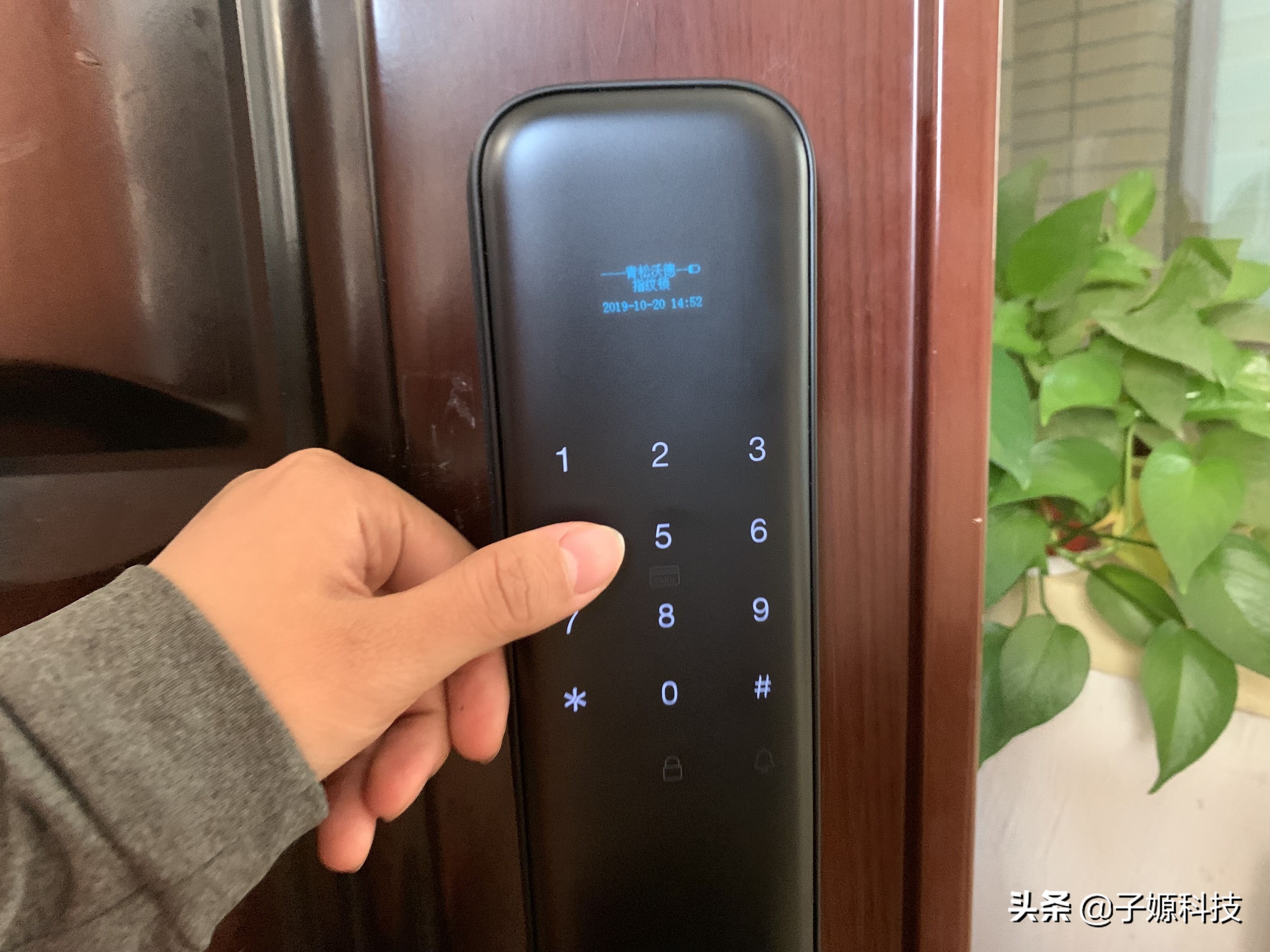 青松沃德l11全自动,青松沃德智能门锁l11多少钱