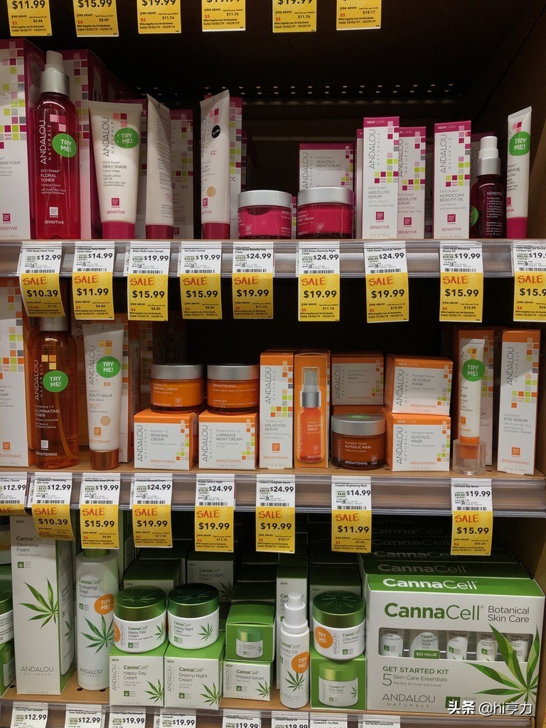 旧金山旅行指南,玩转旧金山