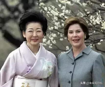 日本政坛五大家族,日本五大政治家族和德川家族