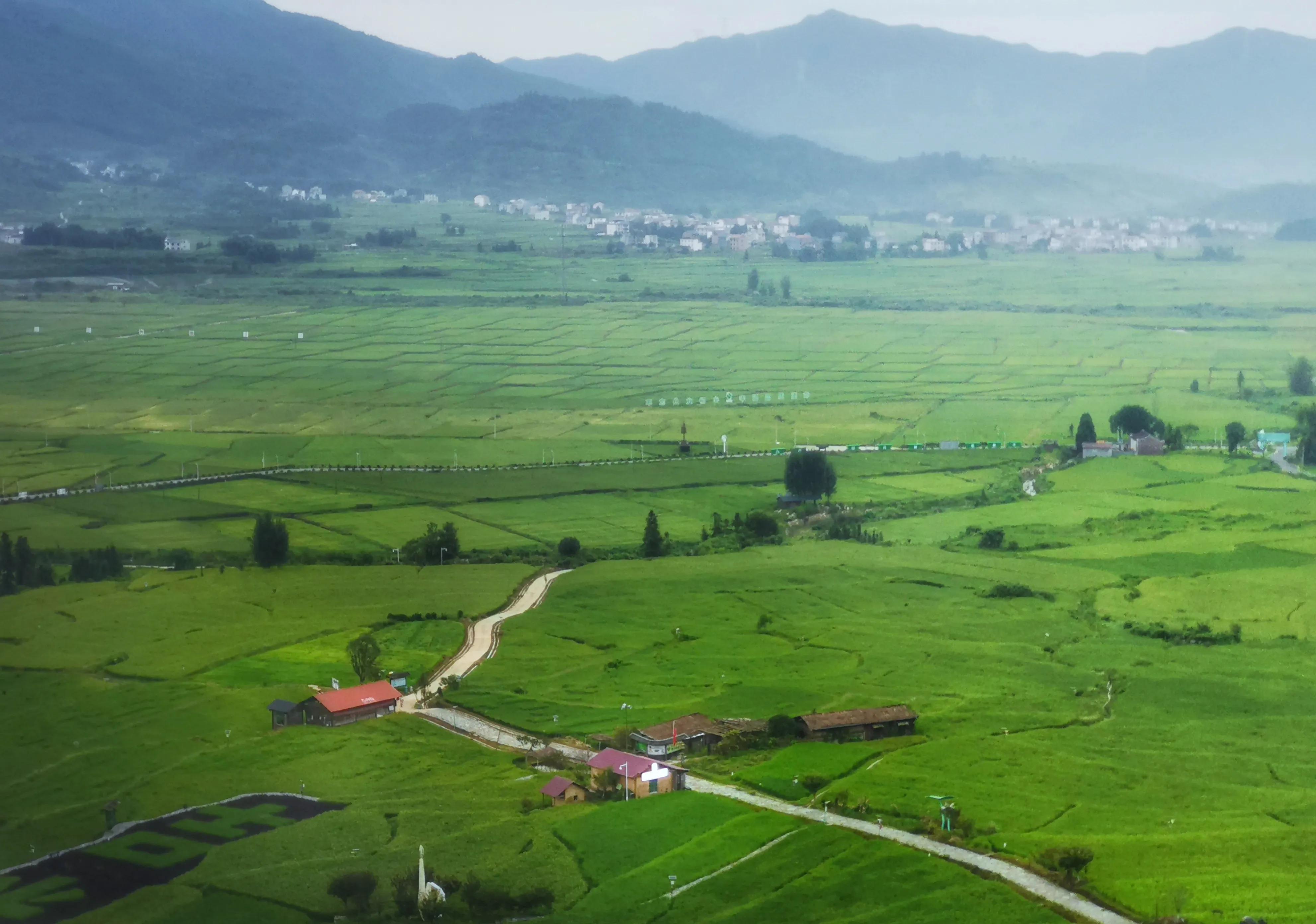 你会去莲花玩吗？我找到了3个“趣味点”，玩了一次跟着喜欢走