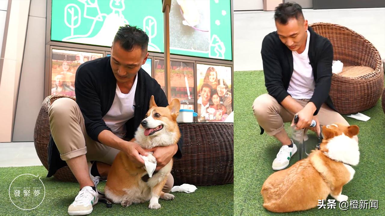 宠物狗带公园里遛需要注意什么,宠物公园开园仪式