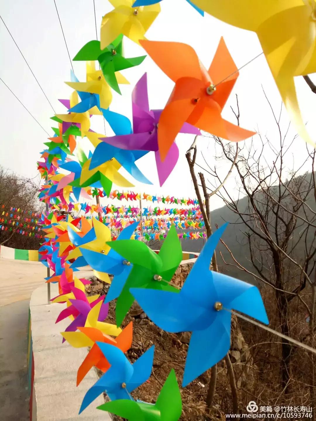 女神节相约美丽,女神节相约一起踏青赏花